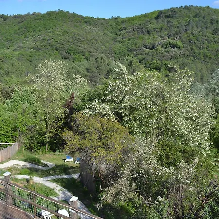Amis 2-4-5 Pers Avec Jacuzzi Entre Anduze Et Ales * Carnoules (Gard)